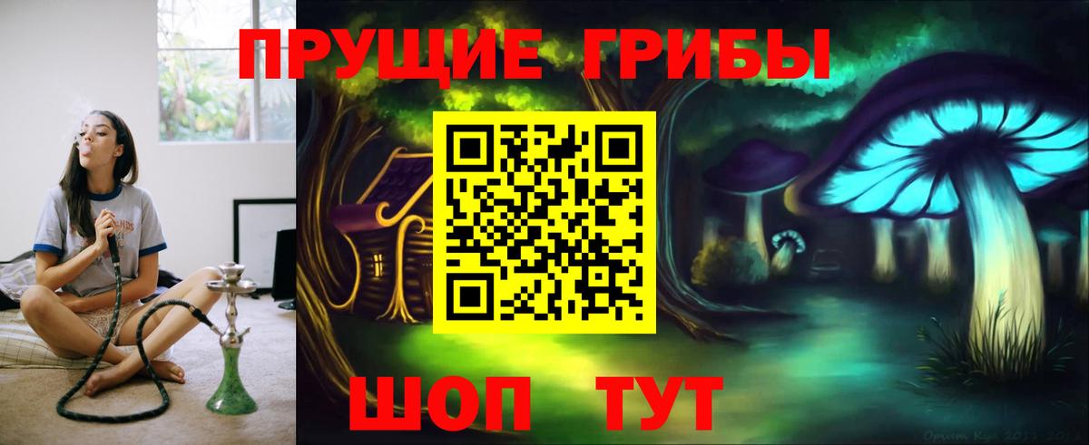 Ишимбай  Галлюциногенные грибы Psilocybe  Вход с VPN 