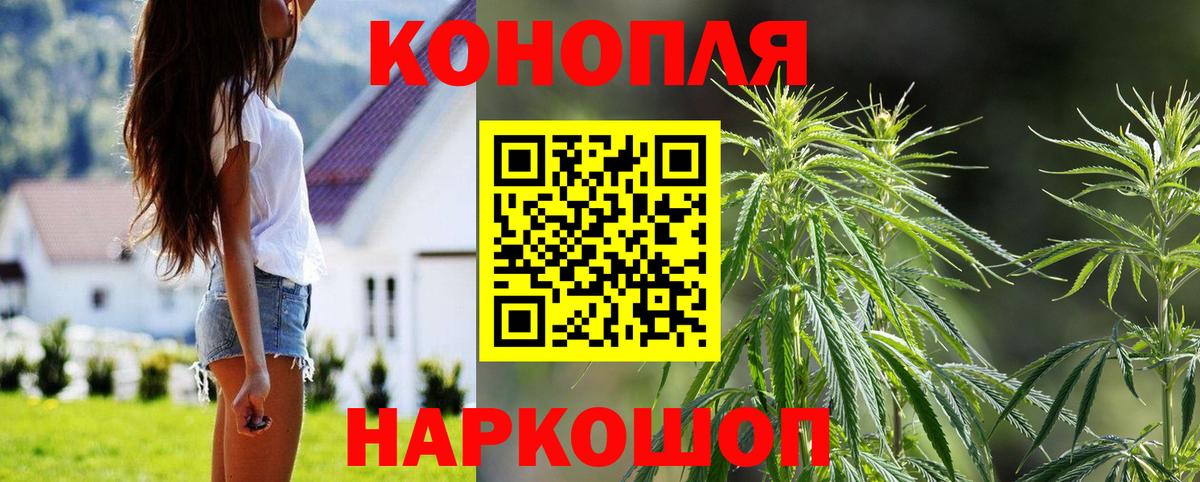 Бошки Шишки OG Kush  Шишки марихуана планчик  МАРИХУАНА конопля  Бошки марихуана семена  Вход с VPN  Ишимбай 